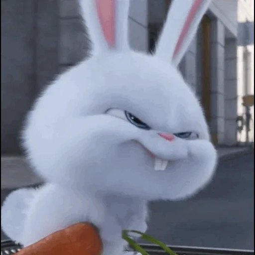 kelinci jahat, hare snowball, bola salju kelinci, kelinci jahat dengan wortel, sedikit kehidupan kelinci hewan peliharaan
