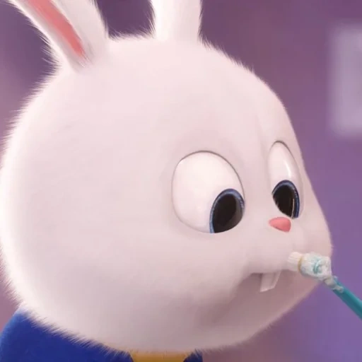 lapin, bébé lapin, mignon lapin, vie secrète des animaux de compagnie 2 boule de neige, secret life of pets 2 rabbit snowball