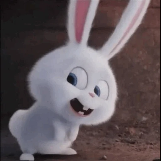 boule de neige de lapin, dessin animé sur le lapin, lapin snowflow life secret, cartoon bunny secret life, la vie secrète des animaux de compagnie