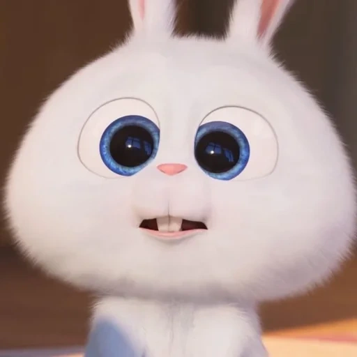 bunny, vida secreta de la mascota, vida secreta de la mascota 2, vida secreta de la mascota bola de nieve, rabbit secret life pet 2