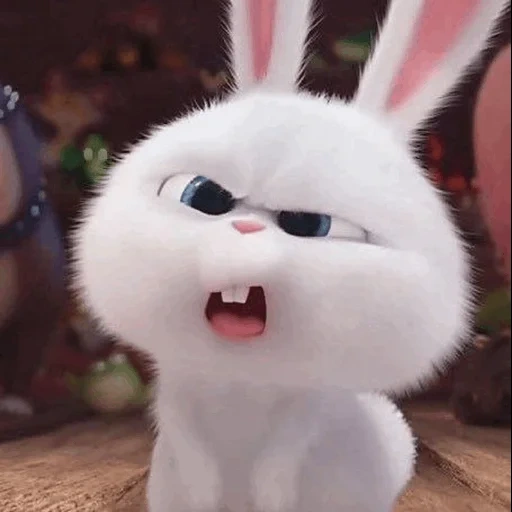 conejo malvado, conejo malvado, bola de nieve de conejo, conejo divertido, vida secreta del conejo mascota