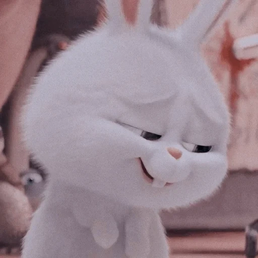bunny, gato, conejo, lindos dientes de conejito, vida secreta del conejo mascota