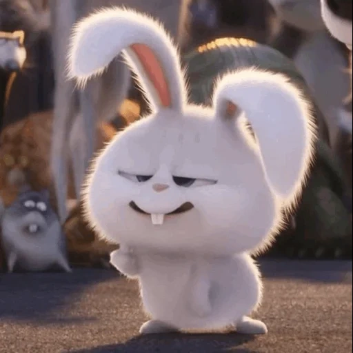 kelinci, kucing, kelinci yang marah, bola salju kelinci, kehidupan terakhir pets rabbit snowball