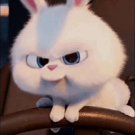 le lapin est drôle, le lapin maléfique du dessin animé, animaux de compagnie lapin, petite vie des animaux de compagnie lapin, caricaturé lapin secret life of pets