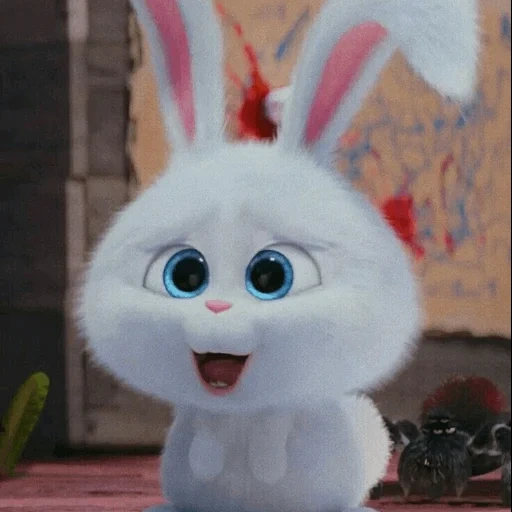 lindo conejito, conejo lindo, conejo de bola de nieve, vida secreta del conejo mascota, vida secreta del conejo mascota