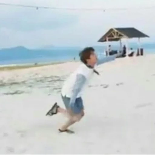 asiatico, sulla spiaggia, giocatore di pallavolo bts, cane remi gaillard, bts volleyball beach