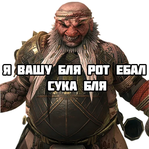 meme, scherzen, memes witcher, pahhi witcher, zoltan khivay witcher