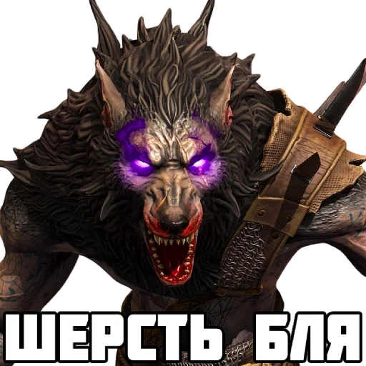 кот, бракус рейд, shadow legends, raid shadow legends, raid shadow legends бракус