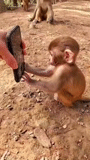 mono, niño, mi mono, vera de mono, mono youtube