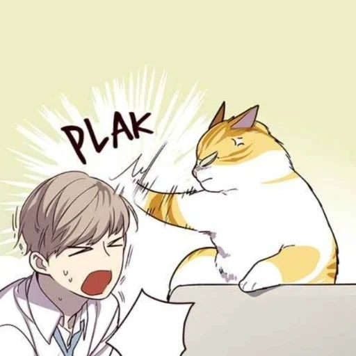 manchu, kucing manga, kayden cat, manga anime, kucing manga elisad