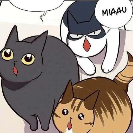 kucing, manga, kucing, lalat seni, eleceed kayden