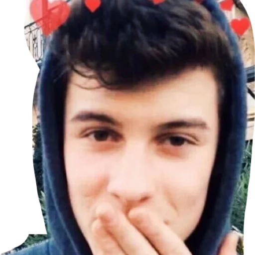 young man, male, people, sean mendes, shawn mendes memes