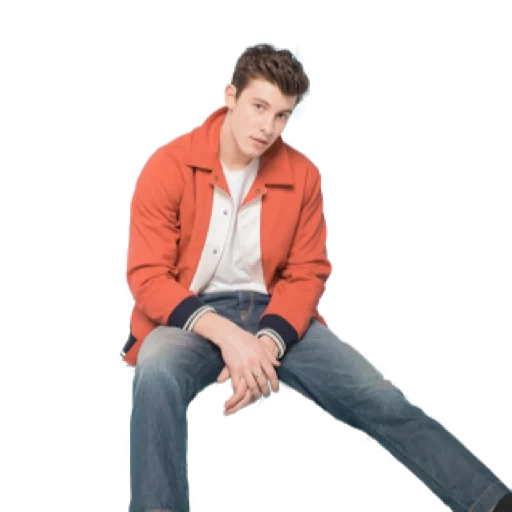 charlie put, sean mendes, transparenter hintergrund, transparenter background, sean mendes voller hochtransparenter hintergrund