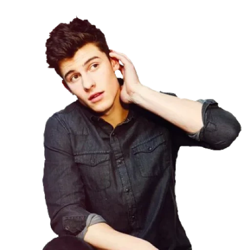 wattpad, charlie putt, sean mendes, justin bieber, shawn mendes senorita