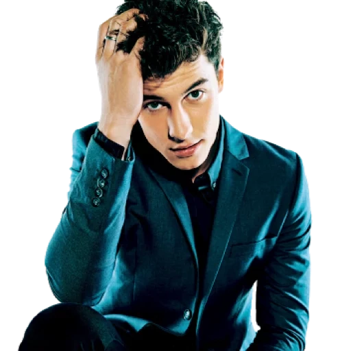 minet, fausses, sean mendes, affiche de shawn mendes, illumination shawn mendes il n'y a rien de me tenir en arrière chanter 2