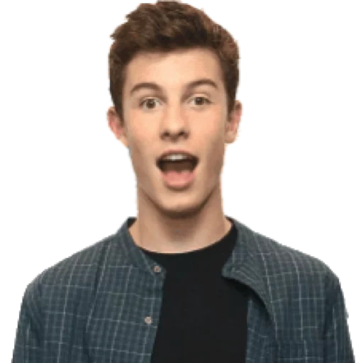 shawn, the mendes, der junge mann, sean mendes, sean mendes in voller höhe