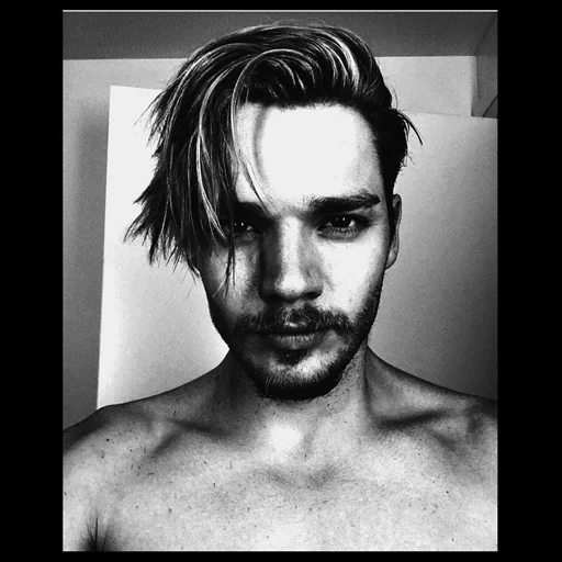 cara, há um, o masculino, o cara é um retrato, dominic sherwood