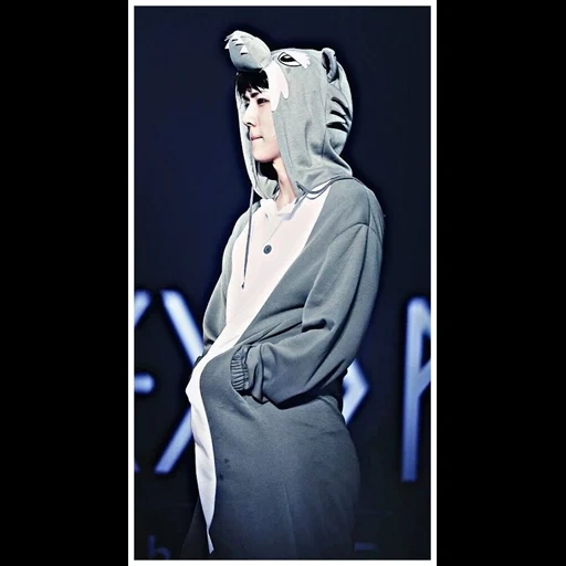 sehun, human, exo sehun, pak chanyeol, sehun to a wolf costume