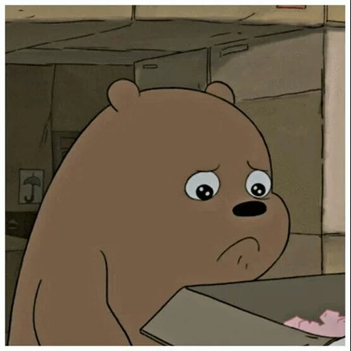 urso, menino, bare bears, urso fofo, toda a verdade sobre o urso