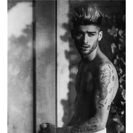 zayn, zane, torso di zahn, zain malik, celebrità 2022