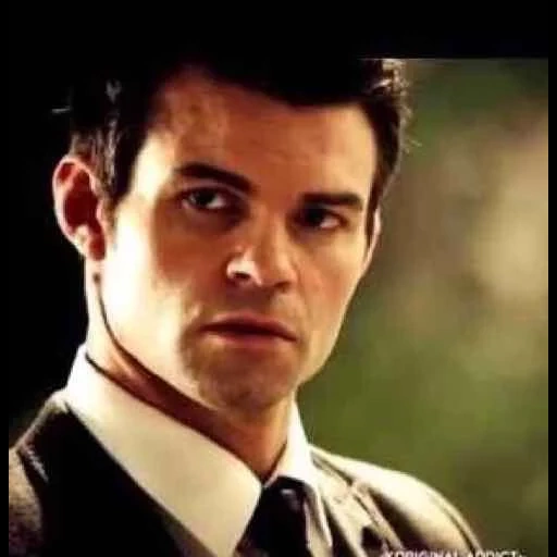 elijah, дэниел гиллис, elijah mikaelson, элайджа майклсон, элайджа майклсон ярости