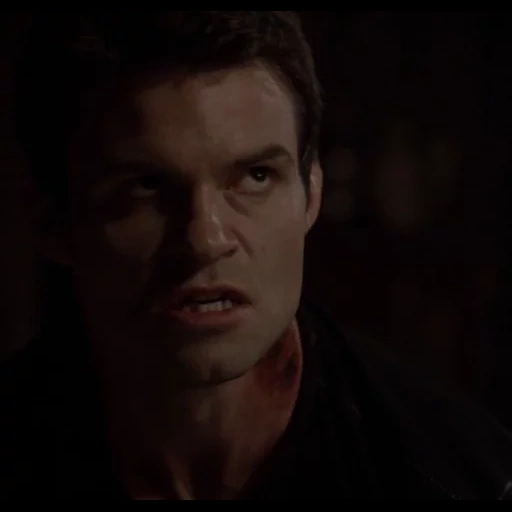 filmmaterial, vampire diaries, elijah michaelson, elijah michaelson primitive, damon salvatore bildschirmschoner