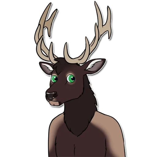 cerf, anime, ronno deer, cerf à fourrure, cerf