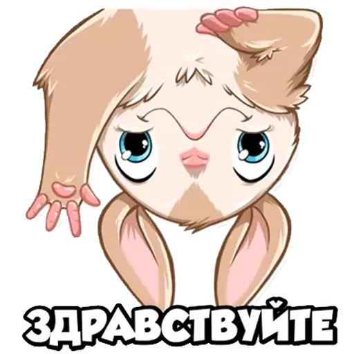 зайка, fennec fox