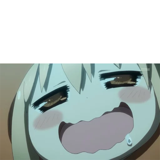 umaru, umar anime, umaru chan anime, sister umaru, two faced sister umaru