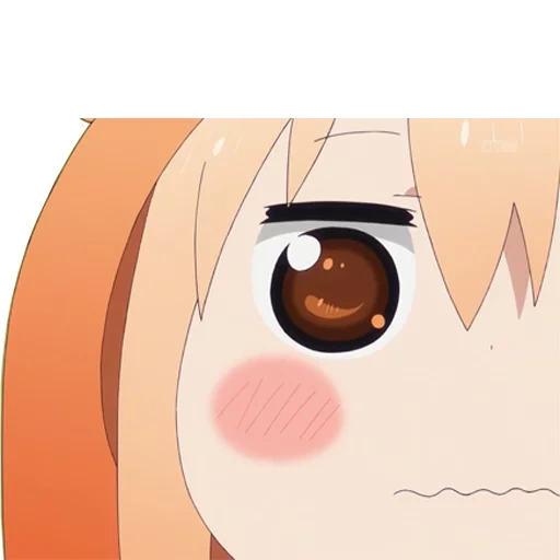 umaru, umaru, tsun ohmaru, anime daimaru chen, omaru à deux visages