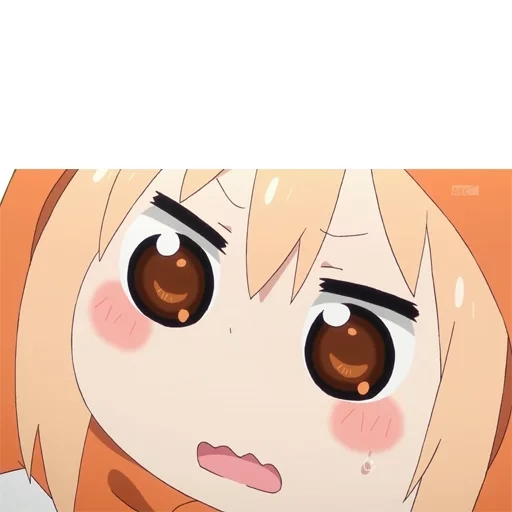 umaru, omaru chen, anime daimaru chen, pelet kecil, omaru bermuka dua