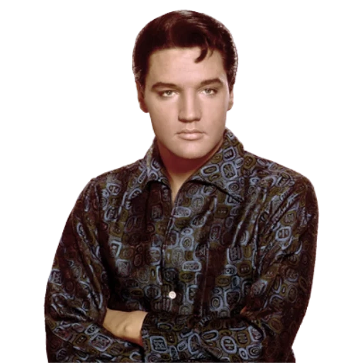 elvis, der männliche, ross king, elvis presley, elvis presley 1965