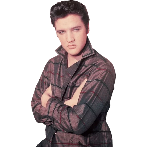 elvis presley, presley elvis elvis, elvis muda, can't help falling in love, take my hand take my whole life too