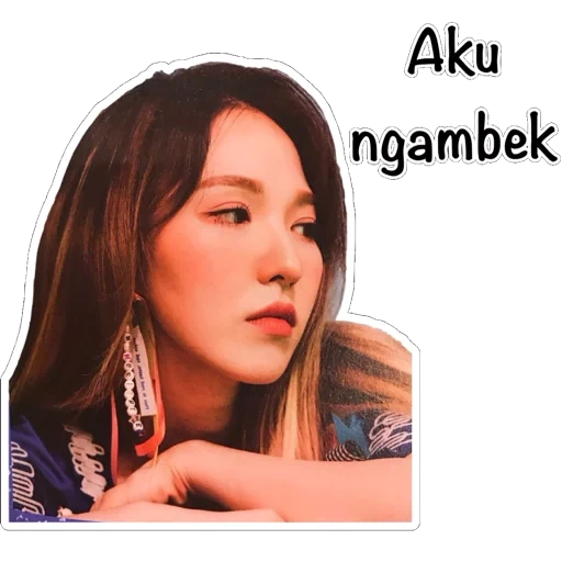 asiatisch, kim jisu, jisoo blackpink, irene red velvet, roter samt wendy