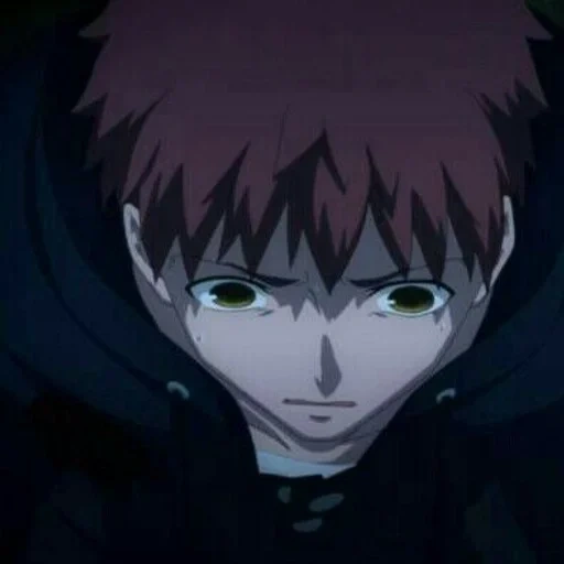 sasori, shirou emiya, fate/stay night, batalha da noite do destino, a noite do destino a borda infinita a segunda temporada