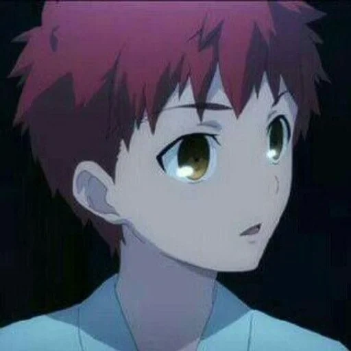 anime, fate/stay night, karakter anime, emiya shirou heaven's feel 3, malam takdir berjuang menyentuh surga 2