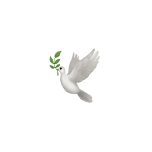 burung, burung-burung, merpati, burung merpati, pigeon emoji