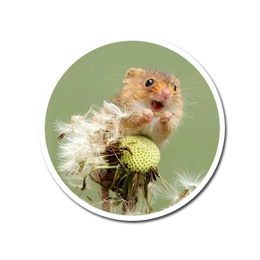 souris, la souris est un bébé, image en mosaïque, broderie de diamants, souris d'ordinateur