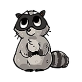 Енотик / Raccoon