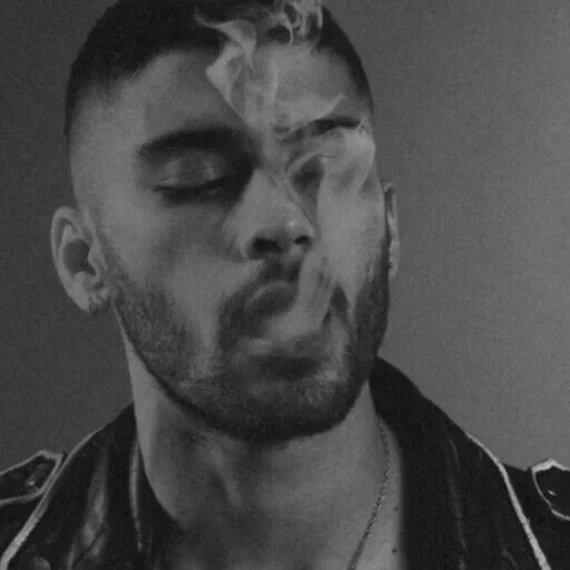 zayn, lady gaga, zane malik, egor letov, die weeknd retten ihre tränen