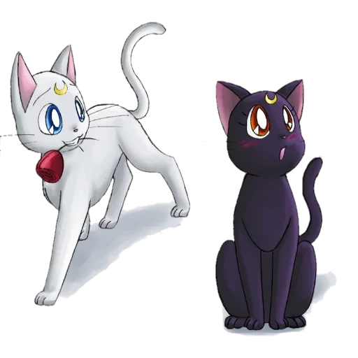 moon sailor cat, cat moon sailor moon, al themis sailor cat, artemis sailor moon cat, cat melaleuca al themis moon