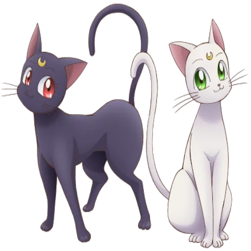 gerbang merak kucing, kucing pelaut bulan, merlot cat moon, kucing marinir artemis, artemis sailor moon cat