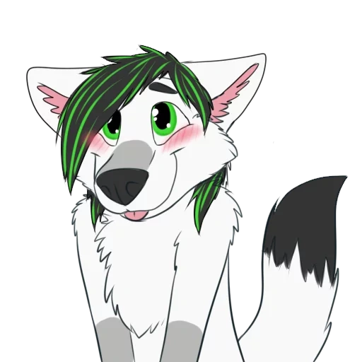 wolf, anime, furry, sryzovs furri, furri collar