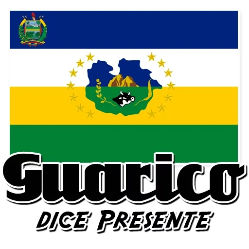 logo, die flagge, flaggen der länder, die flagge des staates, flaggen der staaten von venezuela