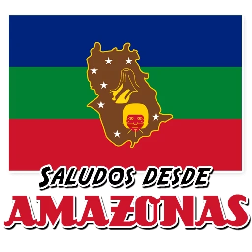 uomini, bandiere nazionali, bandiera amazzonica, bandiera amazzonica peruviana, bandiere degli stati
