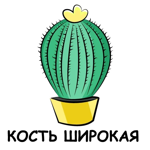 cactus, kaktus, dessin de cactus, illustration de cactus, esquisse de dessin de cactus