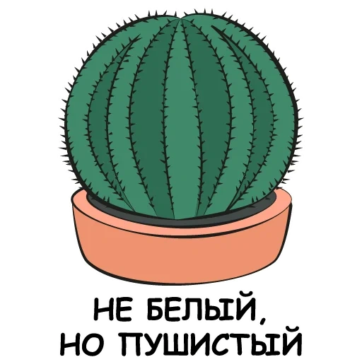 cactus, kaktus, cactus mignon, petit cactus, illustration de cactus