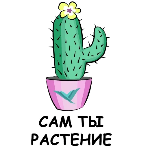 cactus, cacti, cute cactus, cactus rag