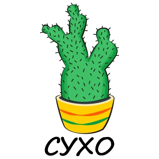 cactus, cactus pour les enfants, cactus, image du cactus des enfants