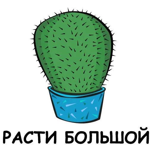 kaktus, cactus, cactus per bambini, punto di livello del cactus